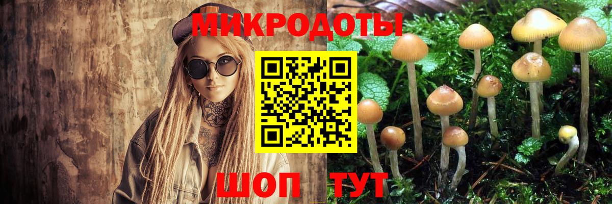 Псилоцибиновые грибы мухоморы Рузаевка