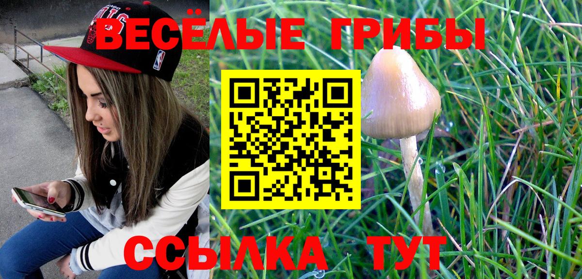 Галлюциногенные грибы MAGIC MUSHROOMS  Галлюциногенные грибы MAGIC MUSHROOMS  Рузаевка  Вход с VPN 